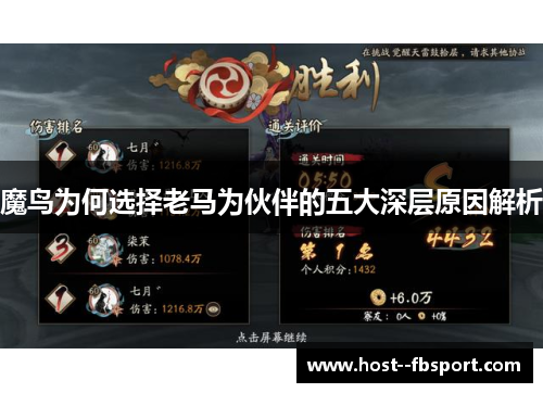 魔鸟为何选择老马为伙伴的五大深层原因解析