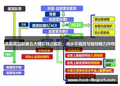 英联级别联赛五大精彩特点解析：高水平竞技与独特魅力并存