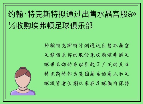 约翰·特克斯特拟通过出售水晶宫股份收购埃弗顿足球俱乐部